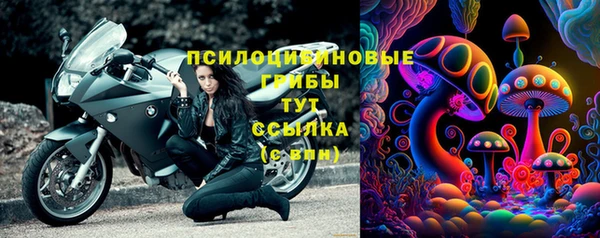 PSILOCYBIN Ступино