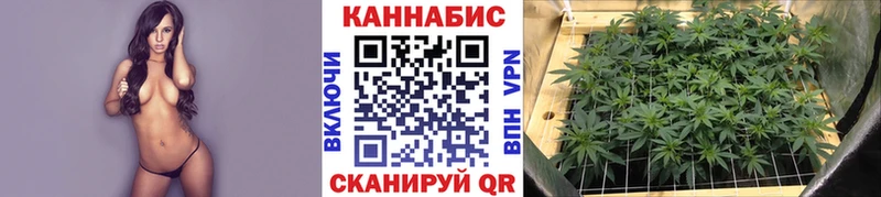 Каннабис AK-47  Усмань 